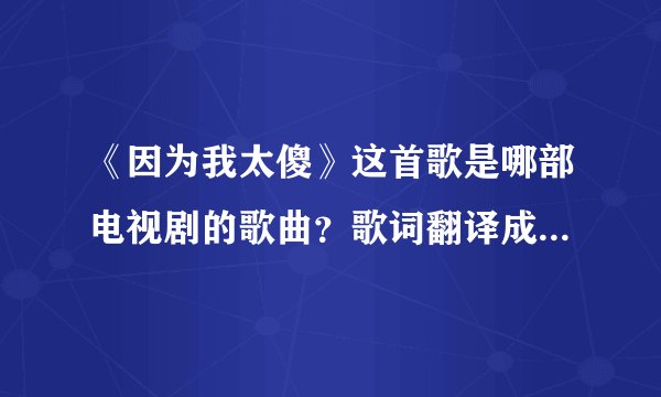 《因为我太傻》这首歌是哪部电视剧的歌曲？歌词翻译成中文是什么意思？
