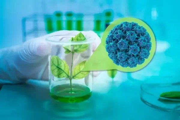 第一个人类感染猴痘病例在1970年被记录，猴痘现在更具传染性了吗？