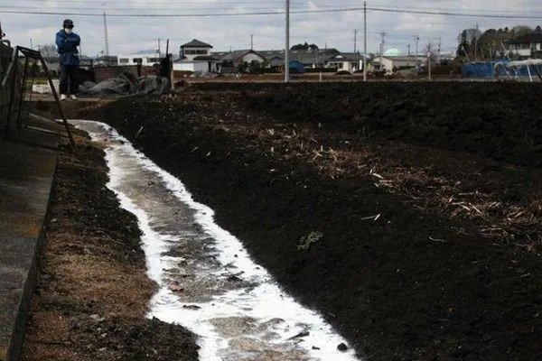 日本福岛核泄漏事件造成的核污染,究竟会如何危害世界?