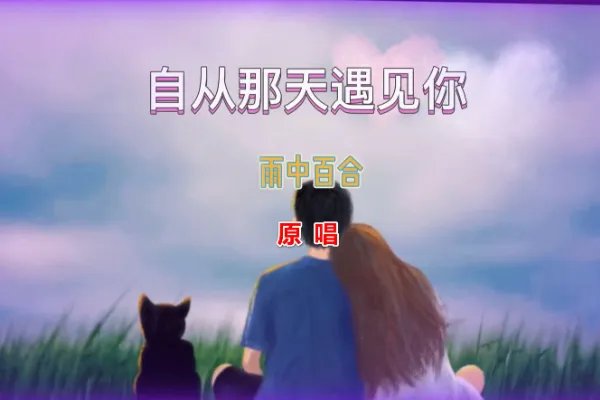自从那天遇见你歌词