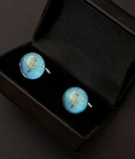 蓝色恶魔之眼的概述