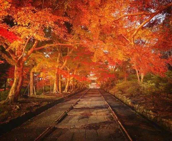 什么是奥卡姆剃刀？