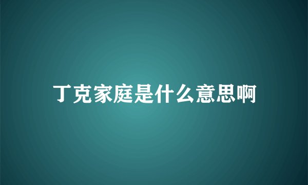 丁克家庭是什么意思啊