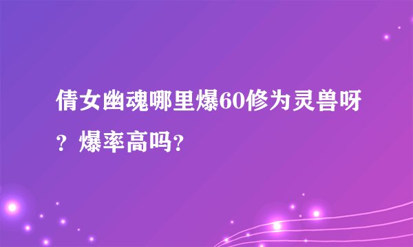 倩女幽魂哪里爆60修为灵兽呀？爆率高吗？