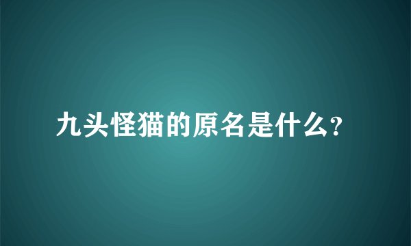 九头怪猫的原名是什么？
