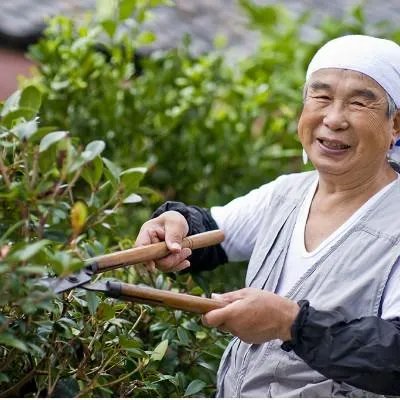 肾亏有什么症状有哪些