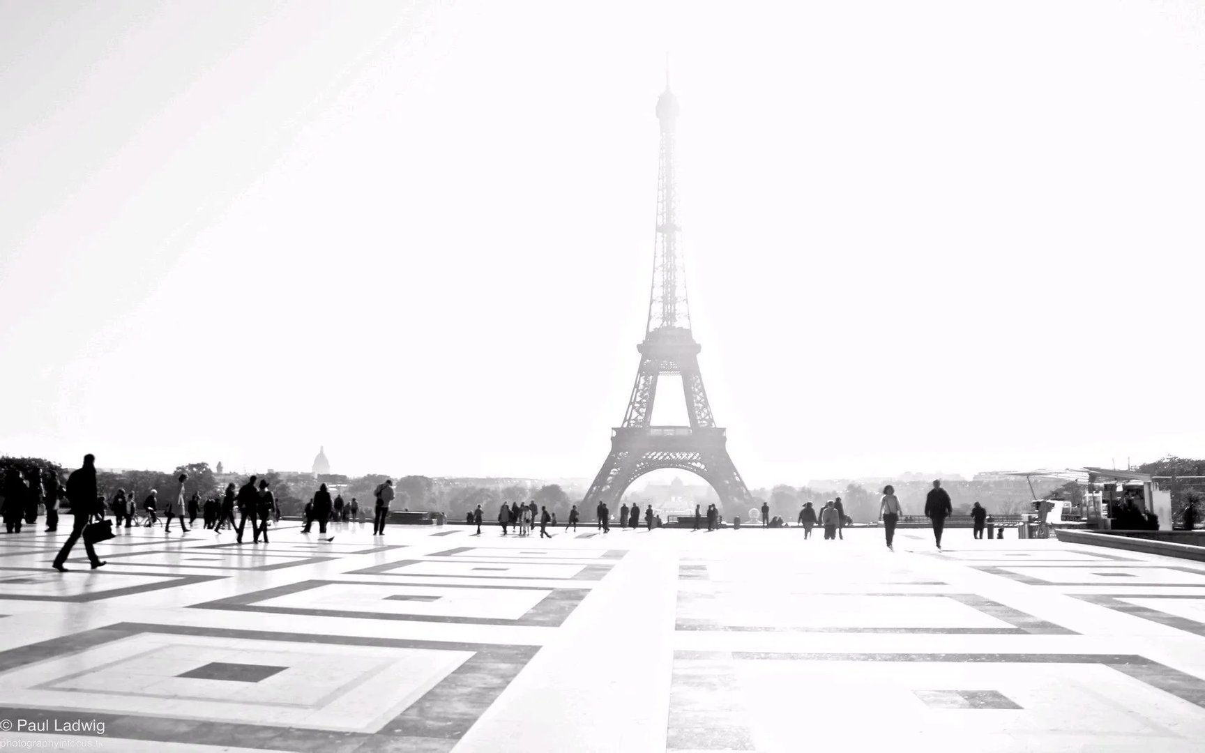 求一张埃菲尔铁塔高清壁纸（之前360桌面壁纸上见过的，近乎黑白的一张）