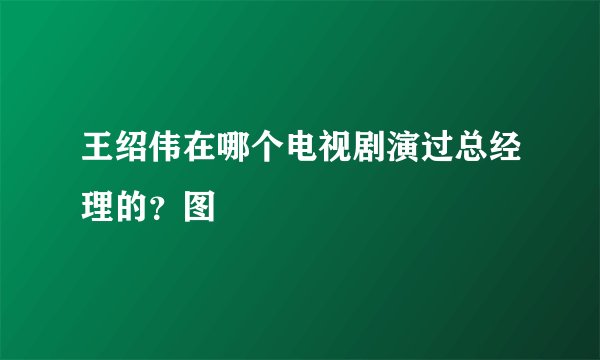 王绍伟在哪个电视剧演过总经理的？图