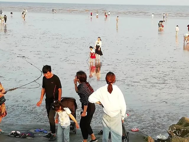 请问上海周边100公里左右自驾游有哪些景点推荐？