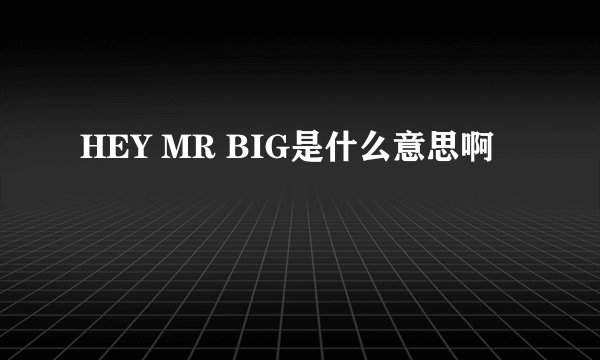 HEY MR BIG是什么意思啊