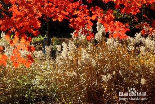 关门山旅游攻略