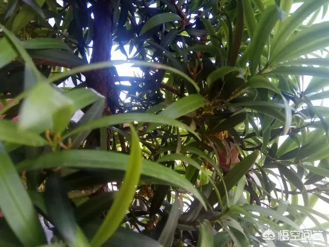 如果你的银行卡里突然多了50个亿,你晚上能睡着吗?