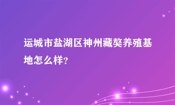 运城市盐湖区神州藏獒养殖基地怎么样？