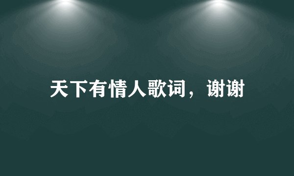 天下有情人歌词，谢谢
