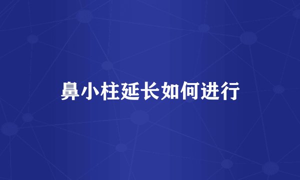 鼻小柱延长如何进行