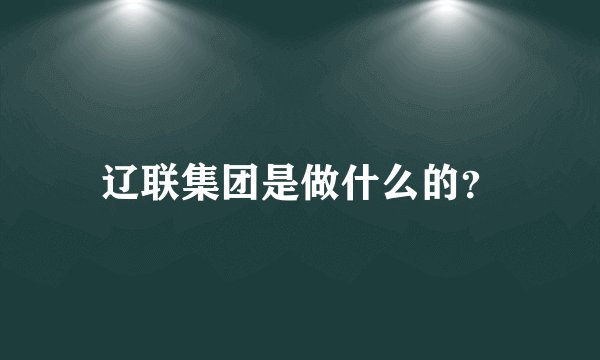 辽联集团是做什么的？