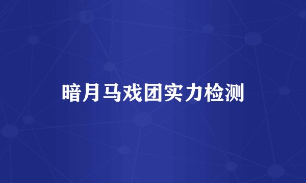 暗月马戏团实力检测