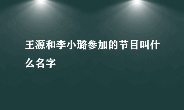 王源和李小璐参加的节目叫什么名字
