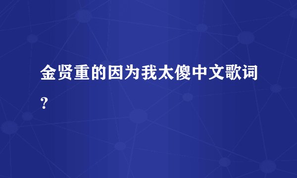 金贤重的因为我太傻中文歌词？