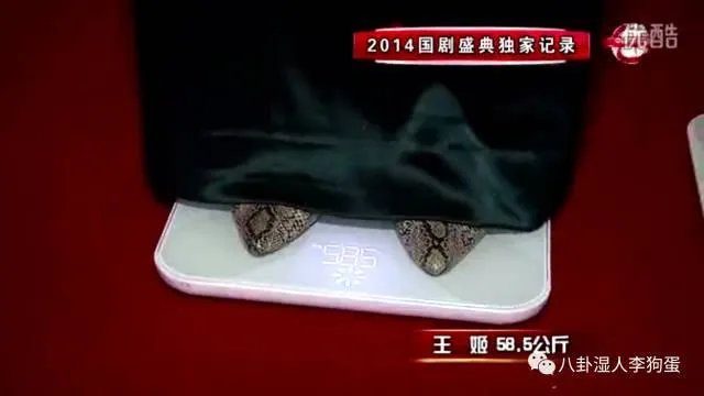 上镜胖十斤是真的吗？明星的真实体重是多少？