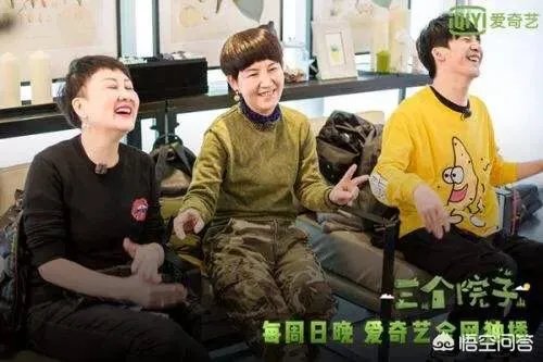 如何评价《三个院子》这部综艺？