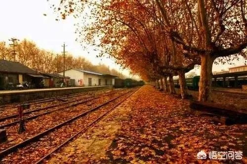 南京有哪些地方值得摄影师去拍照?