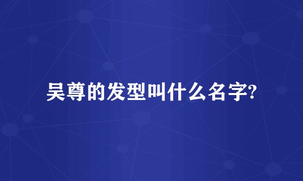 吴尊的发型叫什么名字?