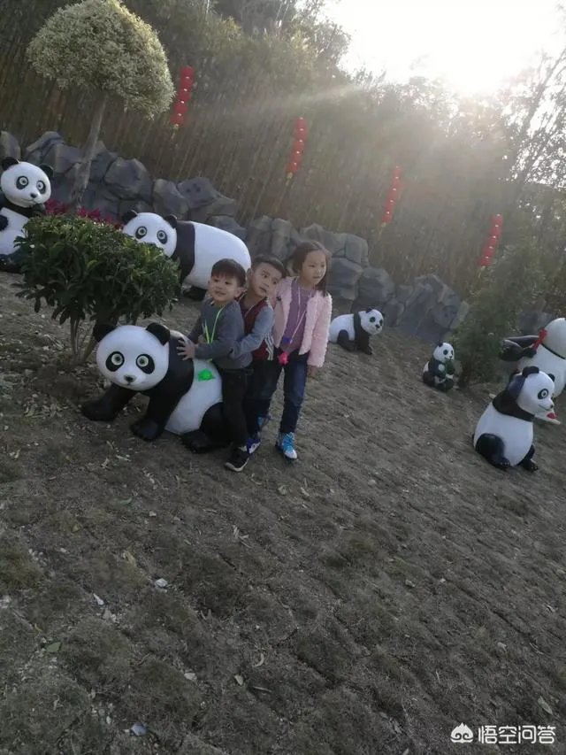 海丝动物园好玩吗