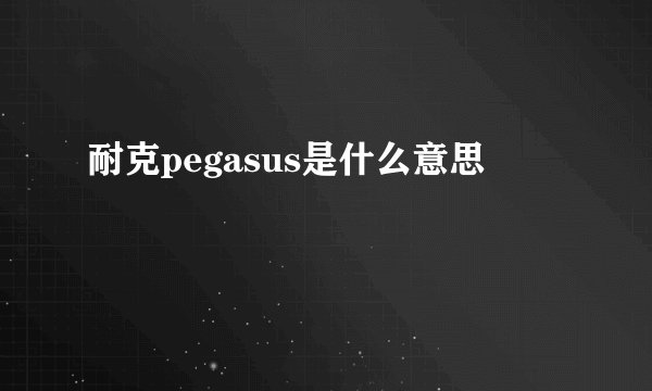 耐克pegasus是什么意思