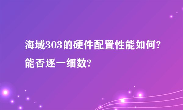 海域303的硬件配置性能如何?能否逐一细数?