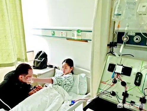 女儿增胖捐髓救母，你怎么看？