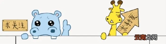 李大双和李小双 李琳和李大双