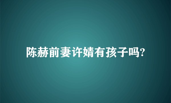 陈赫前妻许婧有孩子吗?