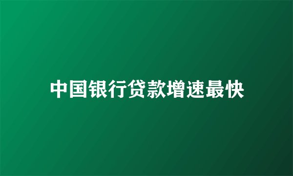 中国银行贷款增速最快