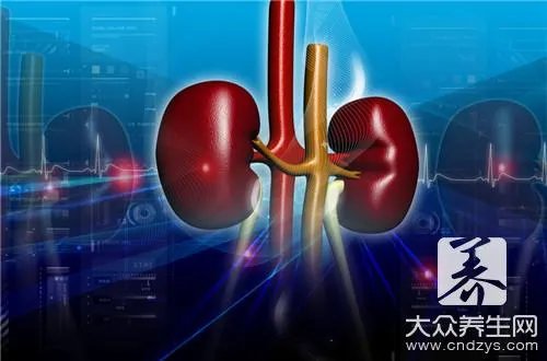 补肾鸡汤的做法有哪些