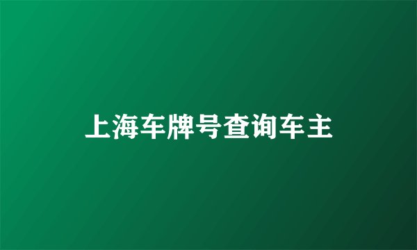 上海车牌号查询车主