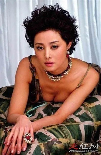 刘蓓老公张健个人资料及简介 和张若昀什么关系