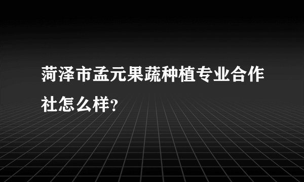 菏泽市孟元果蔬种植专业合作社怎么样？