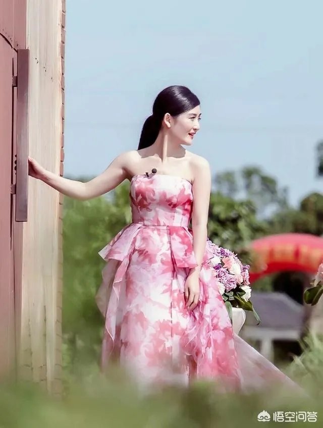 为什么新浪微博粉丝最多的是谢娜？