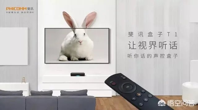 籽岷的自频道优酷视频