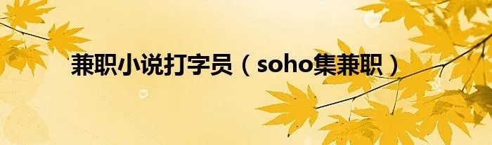 兼职小说打字员（soho集兼职）