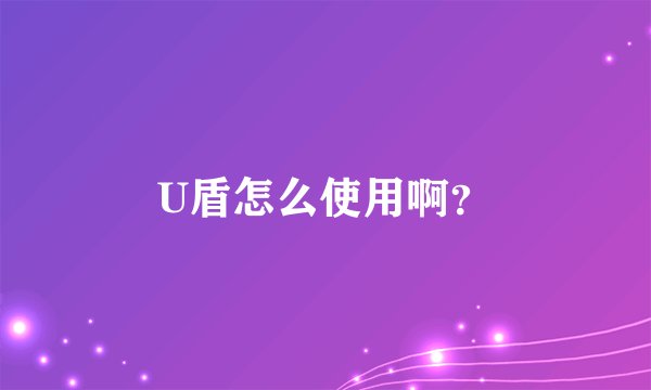 U盾怎么使用啊？