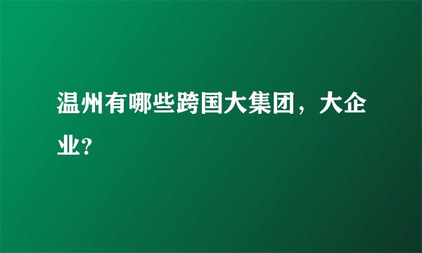 温州有哪些跨国大集团，大企业？