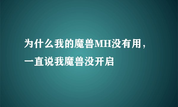 为什么我的魔兽MH没有用，一直说我魔兽没开启