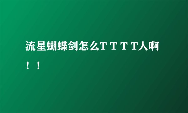 流星蝴蝶剑怎么T T T T人啊！！