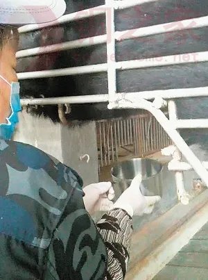 归真堂活熊取胆事件的法理辨析