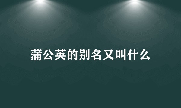 蒲公英的别名又叫什么