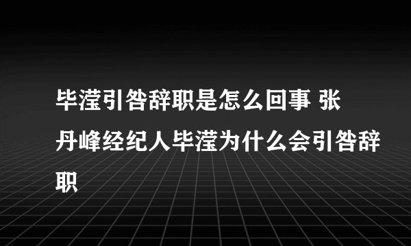毕滢引咎辞职是怎么回事 张丹峰经纪人毕滢为什么会引咎辞职