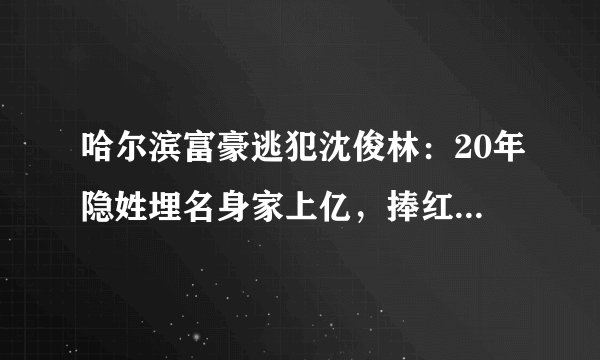 哈尔滨富豪逃犯沈俊林：20年隐姓埋名身家上亿，捧红女星终落网