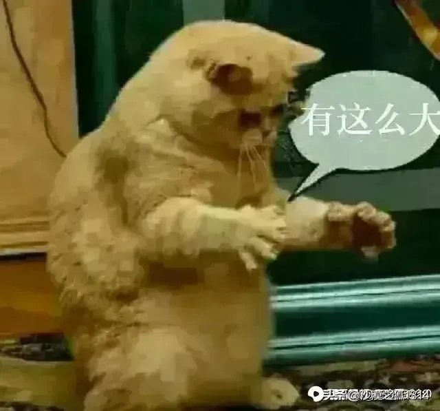 IG2-0击败EDG，大家怎么看Theshy剑魔的发挥？